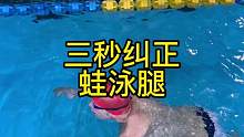 蛙泳腿部膝关节宽度要与肩同宽，可以借助加八字板练习窄蹬腿#体育生 #蛙泳 