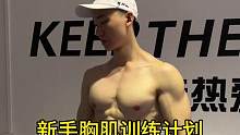 新手胸肌训练计划#胸肌训练 #好身材练起来 #健身 #健身干货
