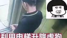 保安查看电梯监控发现一幕，男子疑似利用电梯升降虐狗，太残忍了#男子疑似利用电梯降虐狗 #监控下真实的