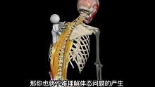 体态调整的要点一个视频给你说明白 #健身干货  #体态  #运动解剖