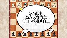 双马防御黑方反客为主，打开h线速杀白王！