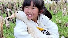 快过年了，带着孩子去田里把鸭子捉回来，孩子赶鸭子的过程可开心了，这可能就是农村孩子的童真快乐#我的乡