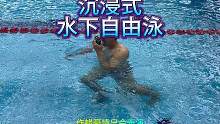 #大连 #游泳 #自由泳 #自由泳水下视角