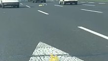 高速公路上的一群小鸭鸭，路过的汽车纷纷减速避让，要爱护每一条生命啊