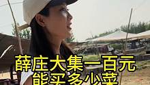 农村大集一百元买菜体验#山东大集 #农村大集人间烟火气 #老百姓的平凡生活