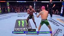 UFC292 肖恩-奥马利 对阵 阿尔贾曼-斯特林 精彩对决！