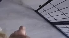 狗狗也太聪明了吧