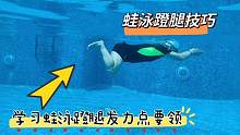 学习蛙泳蹬腿发力点技巧，这样蹬腿才省力顺畅，游起来一点都不累#游泳技巧 #蛙泳 