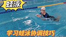 初级新手如何轻松学蛙泳，掌握这些技巧，游蛙泳不再费力
