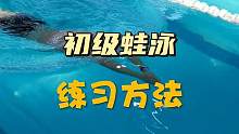 初级蛙泳练习方法，赶快进来看#游泳 #游泳技巧 #蛙泳 #学游泳 #爱游泳