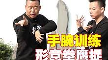 形意拳鹰捉训练，让手腕更灵活有劲，实战中才能擒拿对手#形意拳 #传武实战 #擒拿 #武术教学