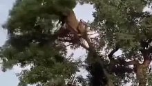 我是谁我在那？