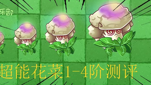 017植物大战僵尸2：超能花菜1-4阶测评，大招燃爆全屏！