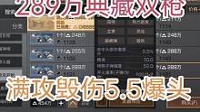 明日之后289万买枪，满攻毁伤爆头5.5典藏谍影双枪效果怎么样？#游戏解说 #手游 #游戏教学 #游