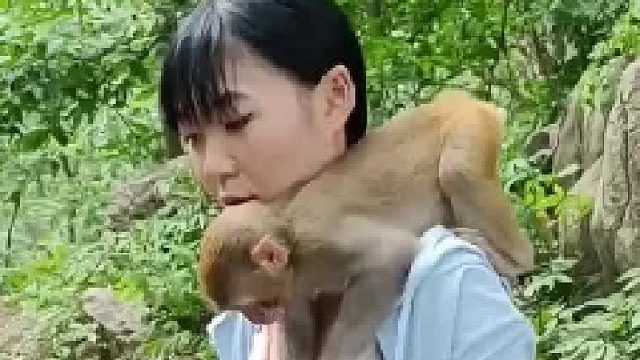 这些猴子坏的很啊