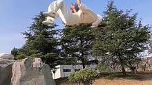#中华武术 #空翻 #一套动作行云流水 #日常训练