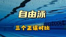 自由泳最常见的三个错误动作，教你如何纠正，自己对照看看#游泳 #游泳技巧 #自由泳 #游泳教学 #学