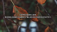过早搏动治疗（1）