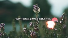 过早搏动治疗（5）