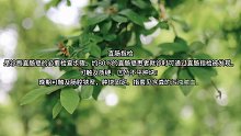 直肠癌的检查（1）