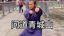 问道青城山#青城山 #问道青城山 #武当功夫