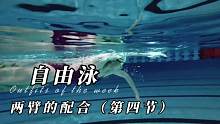 爬泳（自由泳）两臂的配合第四节#自由泳 #游泳技巧 #游泳 