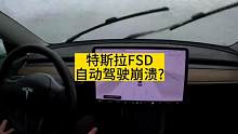 特斯拉FSD在大雨中的表现 #特斯拉