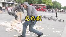 小哥给广场上300只鸽子投喂泻药，结果一发不可收拾，满天拉稀 #纪录片解说 #奇闻趣事 #恶作剧