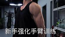 新手强化手臂训练，每组休息30秒，不需要器械也能练 #手臂训练 #健身 #自律