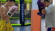#刘威搏击踢拳体系 #少儿搏击 #日常训练 #搏击 职业队，招募中。