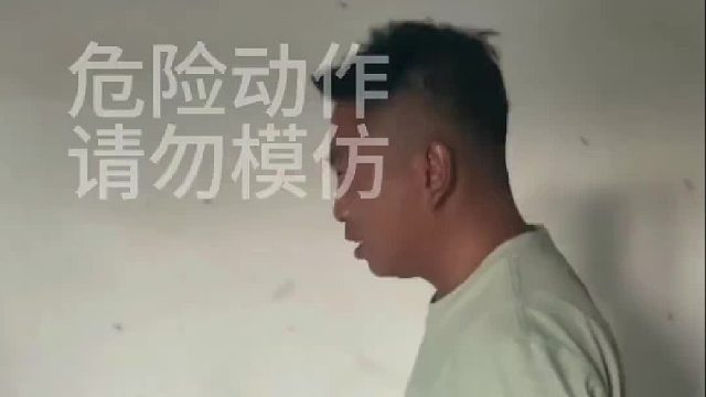 今天大猫吃的啥？有认识的吗？