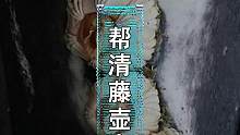 帮海龟清理藤壶，真有必要么？#给孩子看的小知识 #给孩子看世界 