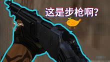 这样的步枪到底是谁在玩啊？