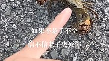 差个对手来拳击