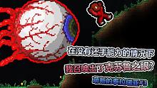我召唤出了克苏鲁之眼！？？萌新试玩泰拉瑞亚第三集