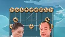 东北虎赵国荣PK东方电脑柳大华，强强对决！#jj象棋 #象棋