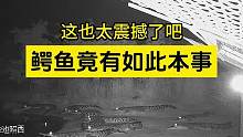 震惊！鳄鱼竟有如此本领！#鳄鱼 