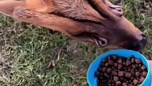 好大的臭味的感觉