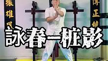 詠春-桩影；值得大家学习与收藏#发扬传武精神 #咏春拳 #让习武改变人生 #一身正气 #木人桩