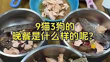 多宠9猫3狗的一顿吃些啥#抖in萌宠计划 #干饭狗的日常