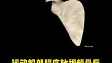 为什么肩胛骨稳定那么重要，如何训练 #健身干货  #健身教学  #运动解剖