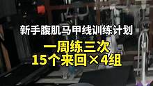 想要快速获得腹肌马甲线的，我是真心推荐你试试肘部支撑健腹轮#腹肌马甲线 #运动 #核心力量训练 #自