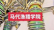 #记录旅游足迹 马代渔猎学院#自由潜水 #潜水抓鱼 #渔猎 #自由潜渔猎