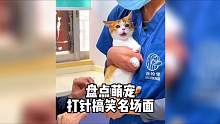 盘点那些萌宠打针搞笑名场面，直接飙出电音效果！#宠物医院 #萌宠打针 #萌宠出道计划 #打预防针 #