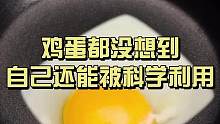 在家用鸡蛋就能做的科学小实验，与其让孩子天天玩手机，不如培养他的兴趣爱好 #科学小实验 #鸡蛋小实验