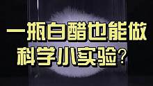 一瓶白醋引发的科学思考，用食醋在家就能做的科学小实验 #科普 #科学小实验 #科学启蒙