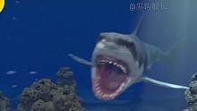 挑战鲨鱼隧道水滑梯时鲨鱼撞破了玻璃，第一视角滑梯逃生！ #水上滑梯 #水上乐园 #上热门 