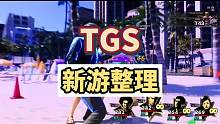 #TGS2023 #steam游戏 #主机领航员 TGS2023简单看看都有什么内容，当然还有很多继