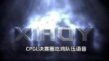 CPGL决赛圈吃鸡队伍语音#绝地求生 #CPGL