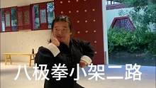 八极拳小架二路#八极拳 #非物质文化遗产